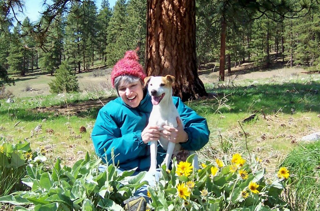 What I Learned From Our Jack Russell Terrier