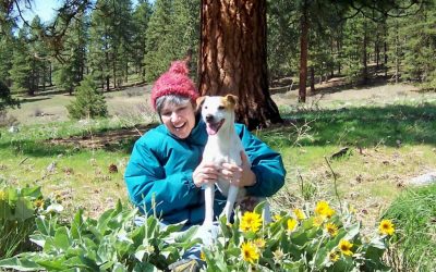 What I Learned From Our Jack Russell Terrier