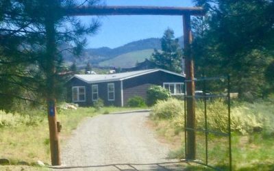 Leaving Home: New Amazing Awaits!