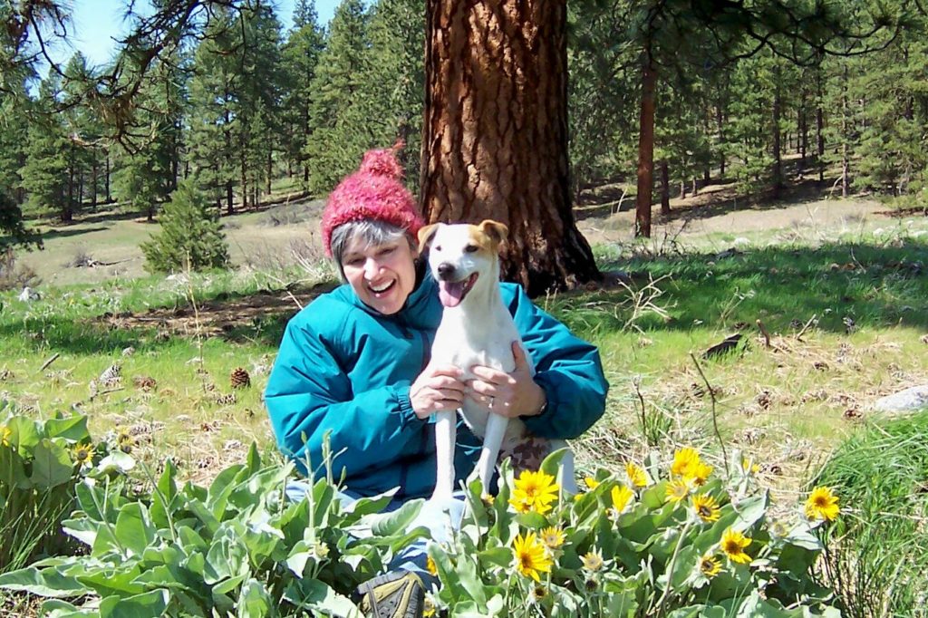 Our Jack Russell Terrier Kosmo taught me a lot about finding joy in simple things