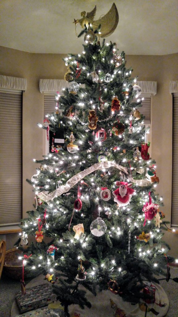 Christmas tree gifted to us
