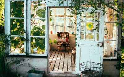 The Next Step: Trusting God to Show You