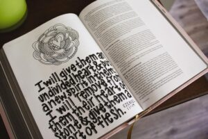 One of the illustrated designs 